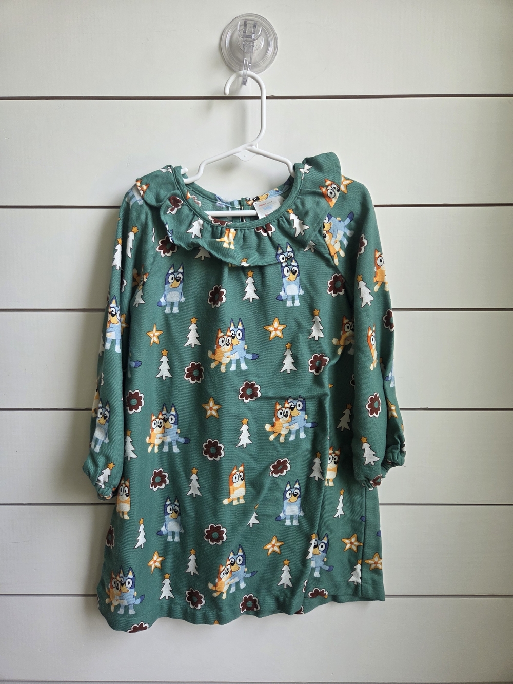 Hanna Andersson Green Nightgown with Bluey Character Print